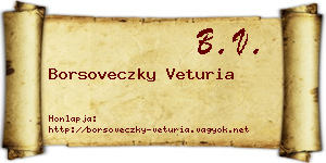 Borsoveczky Veturia névjegykártya